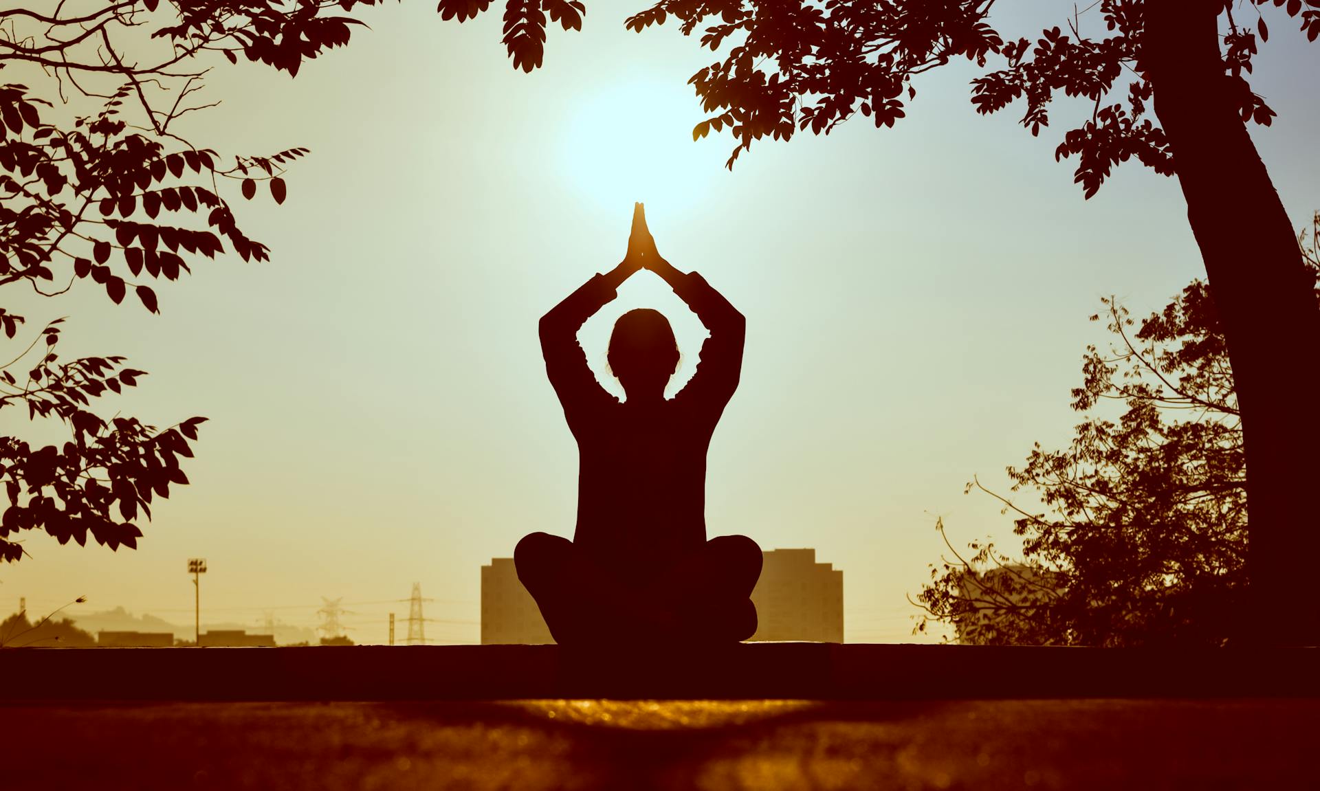 image Mindful molecules – science is decoding the health benefits of meditation