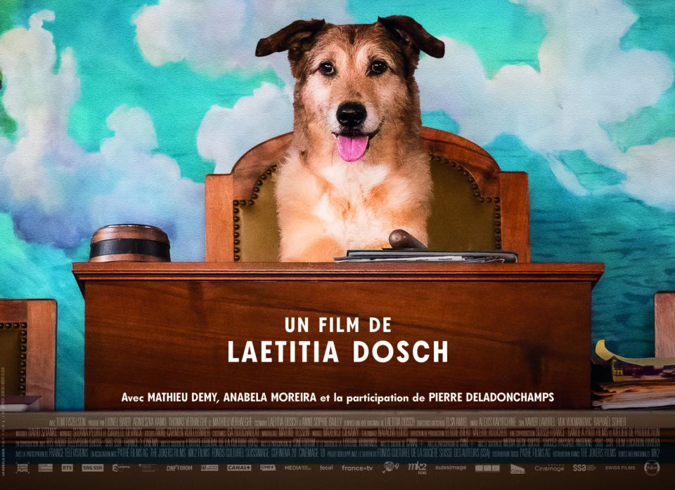 image A dog on…trial?