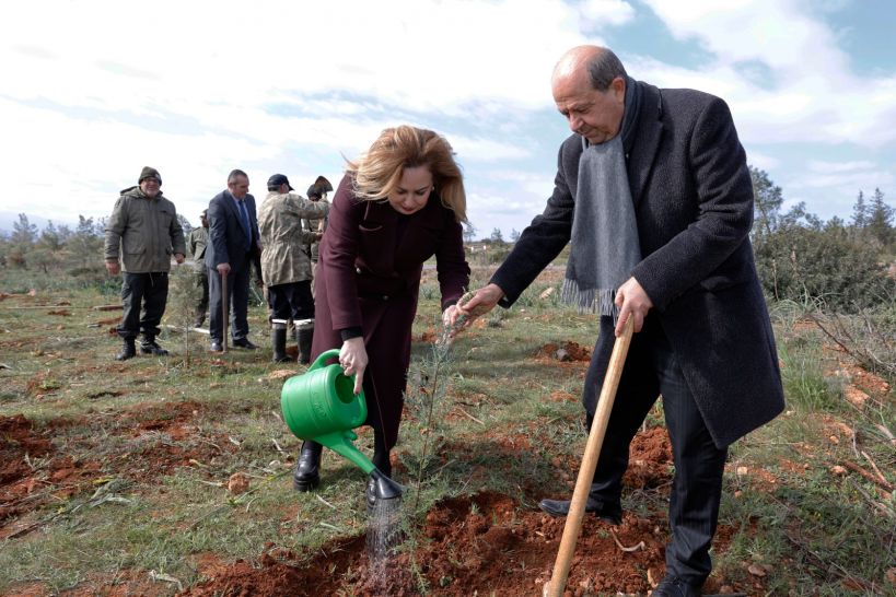 image Tatar wants 30 per cent of north to be covered in forest