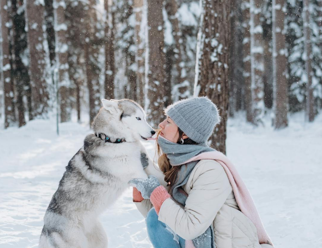 image Is the cold draining your energy? Feng Shui tips to restore balance