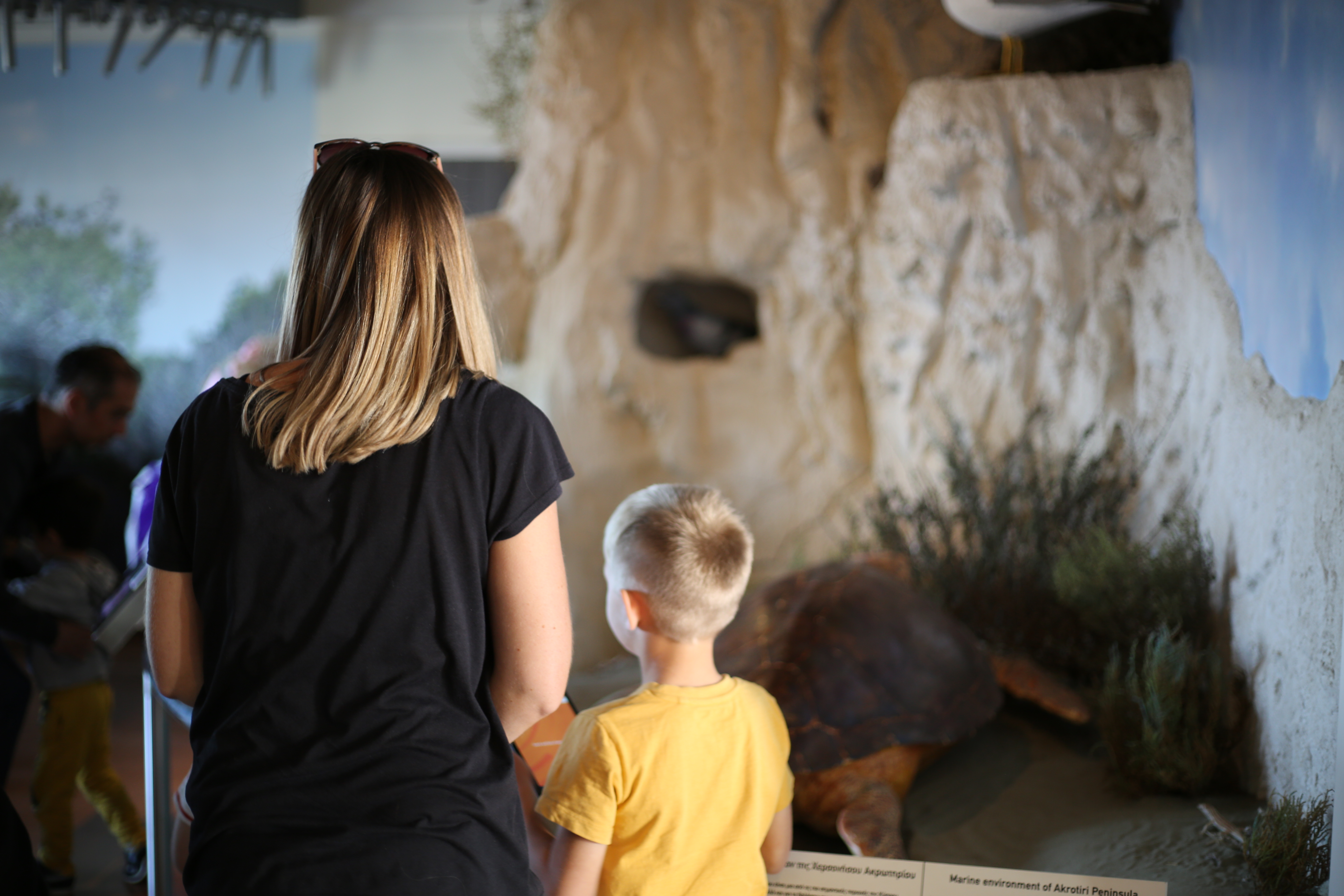 image Educational events celebrate world wetland day