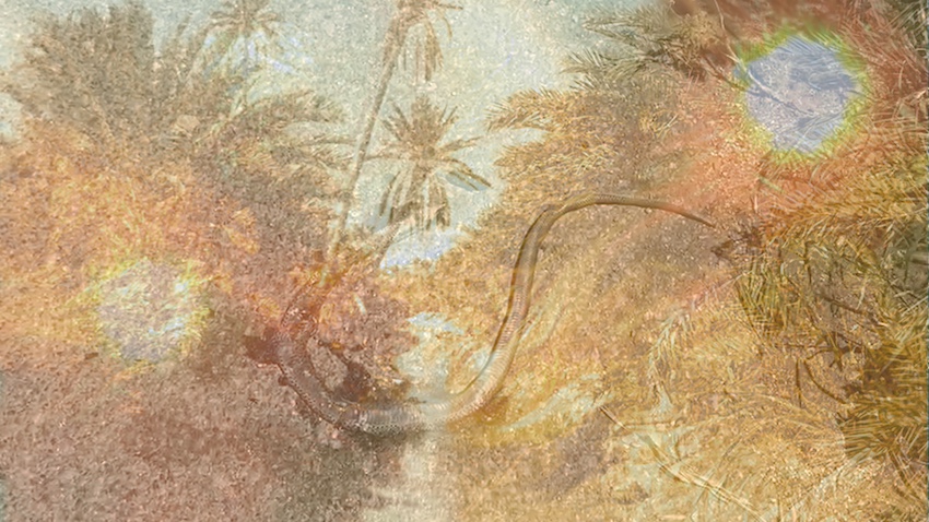 image Exhibition looks into the unseen