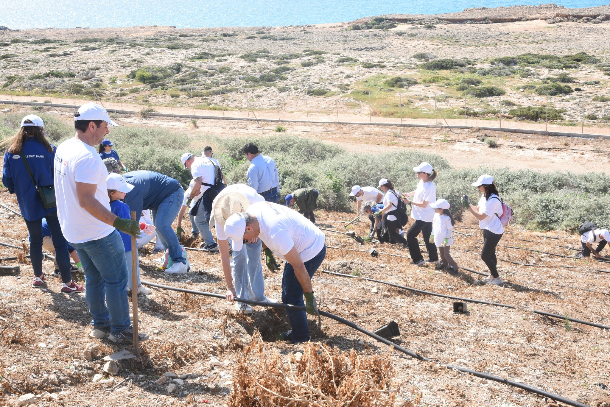 image Over 400 trees planted in Cape Greco