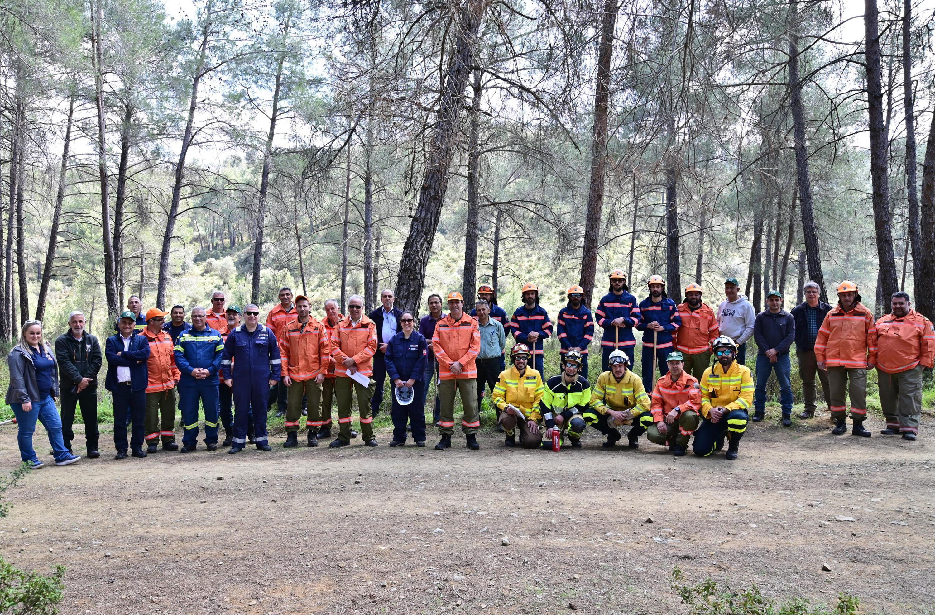 image Forestry department launched first attempt of controlled forest burning