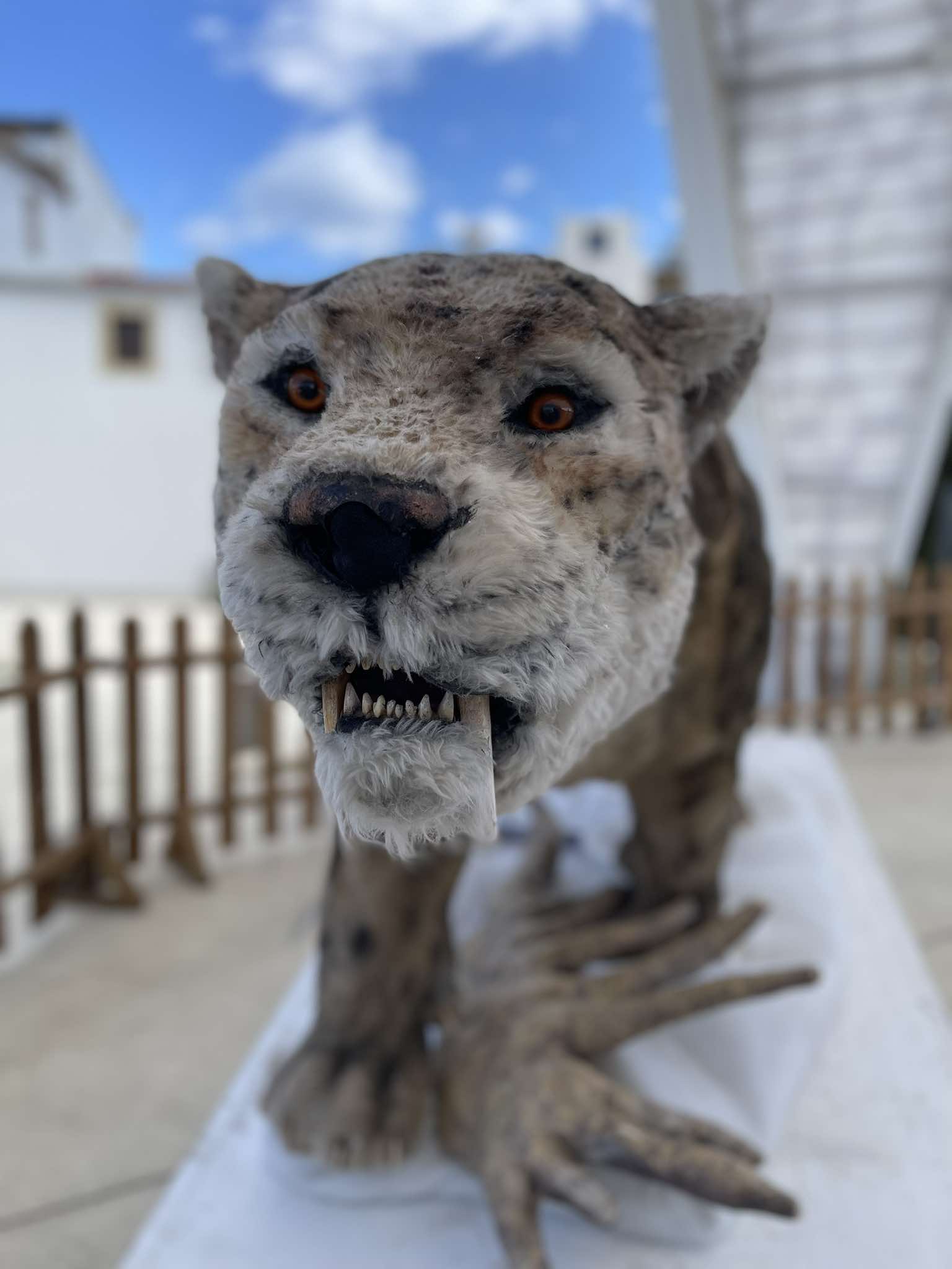 Larnaca, history, exhibit, exhibition, ice age, park