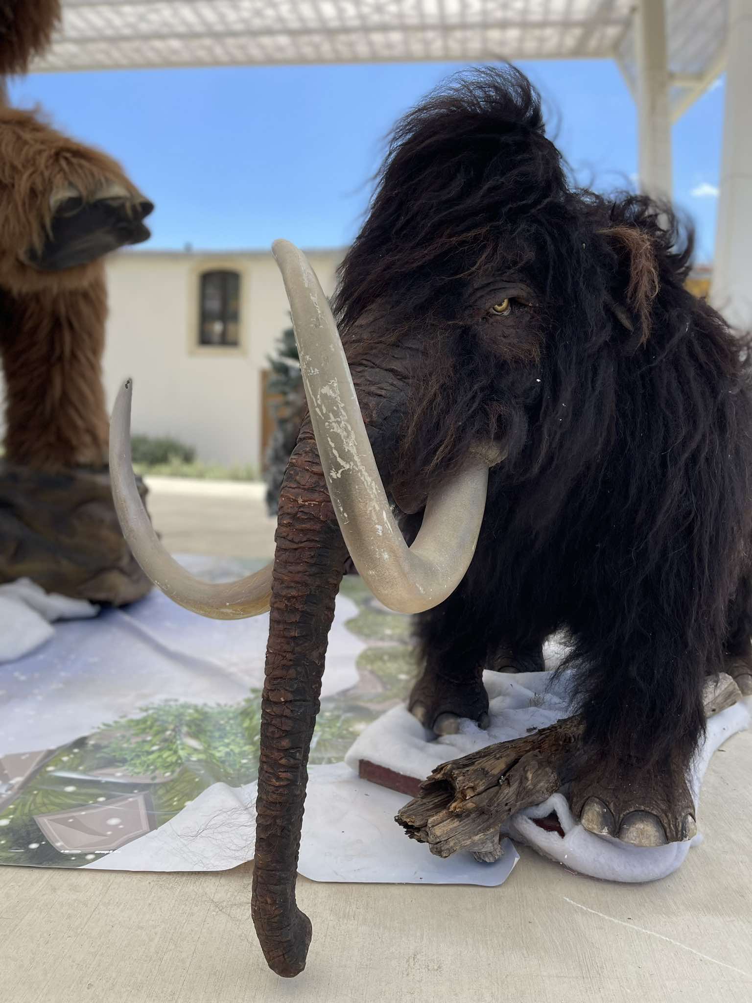 Larnaca, history, exhibit, exhibition, ice age, park