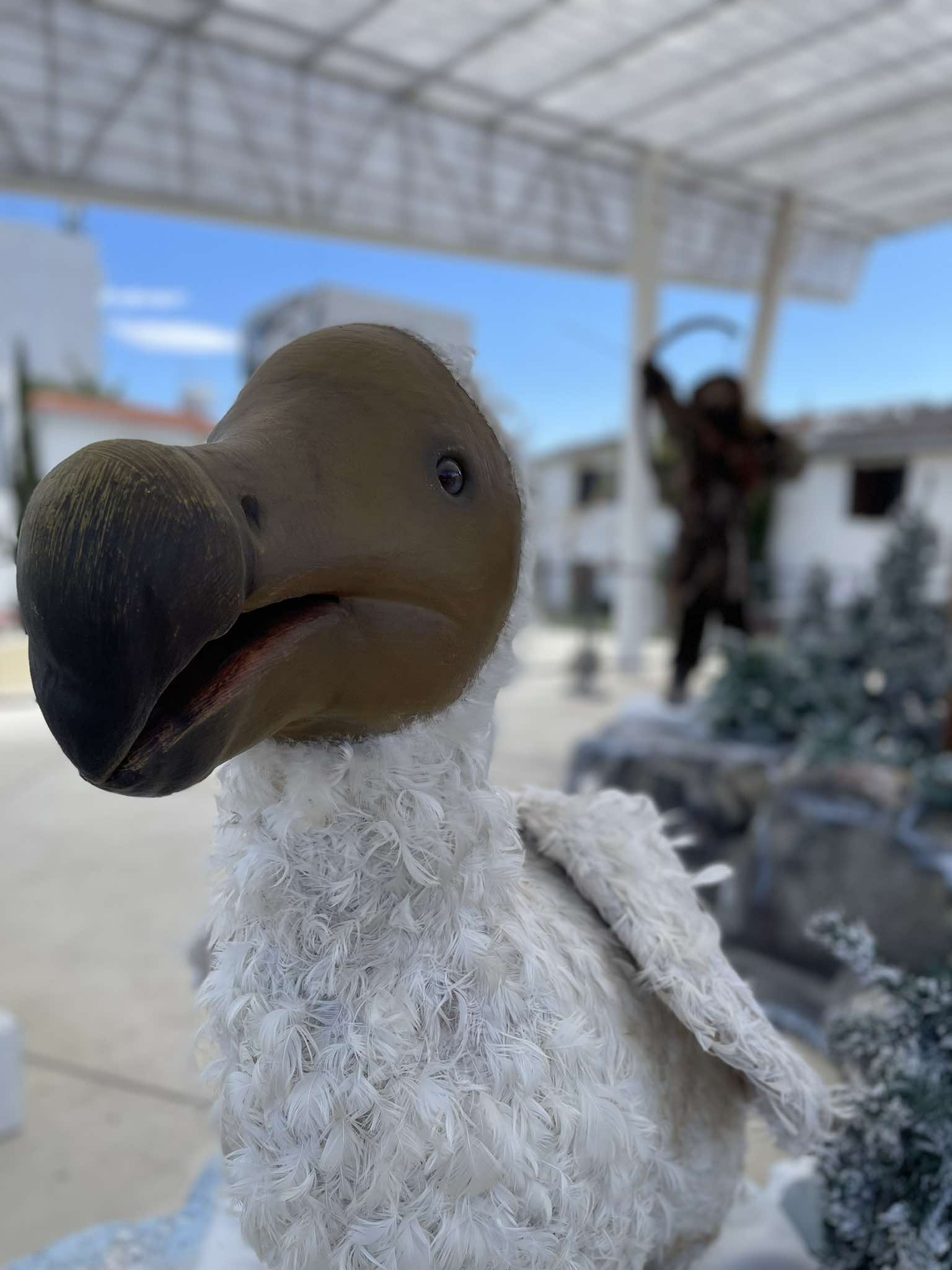 Larnaca, history, exhibit, exhibition, ice age, park