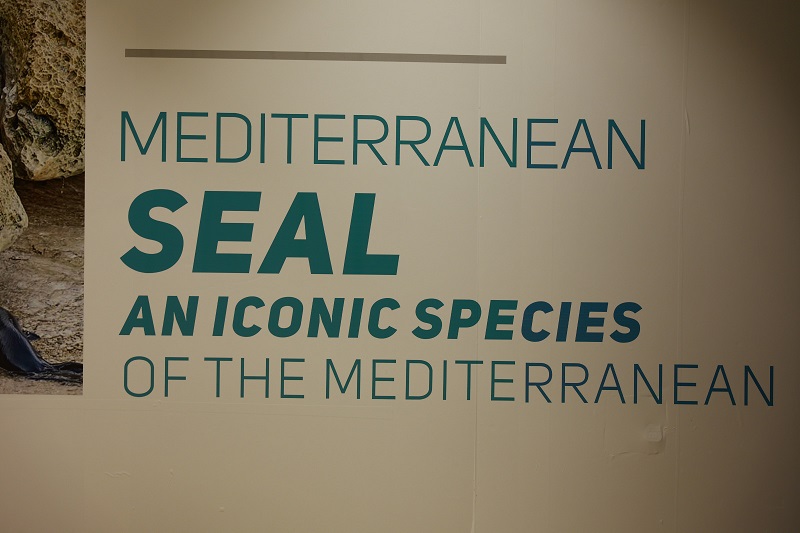 image Akamas Municipality to host Mediterranean Seal science event