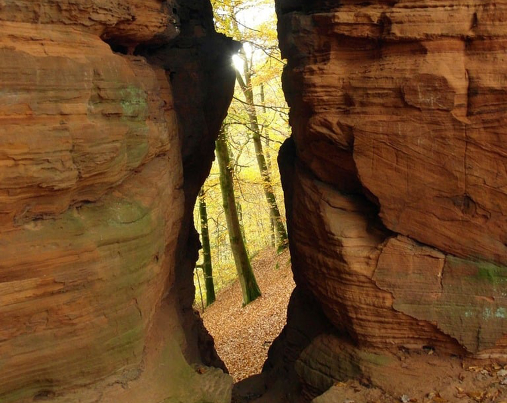 image Nature trails reopen