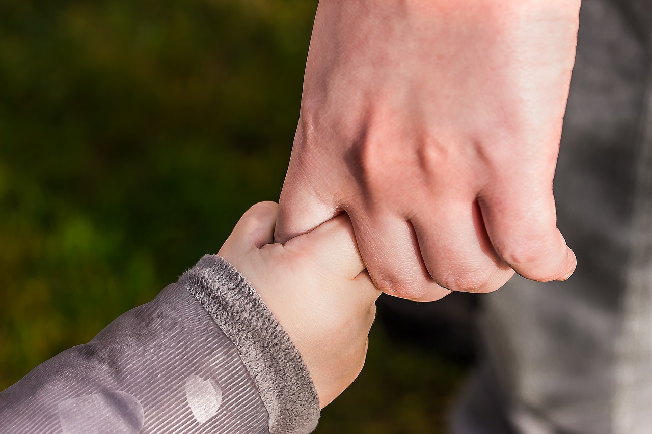 image Revised parental custody bill raises questions at legal committee