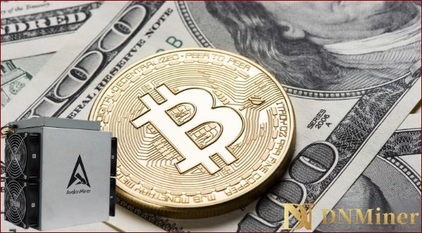 image DN MIner cloud mining: creating a new experience and helping customers achieve rich returns