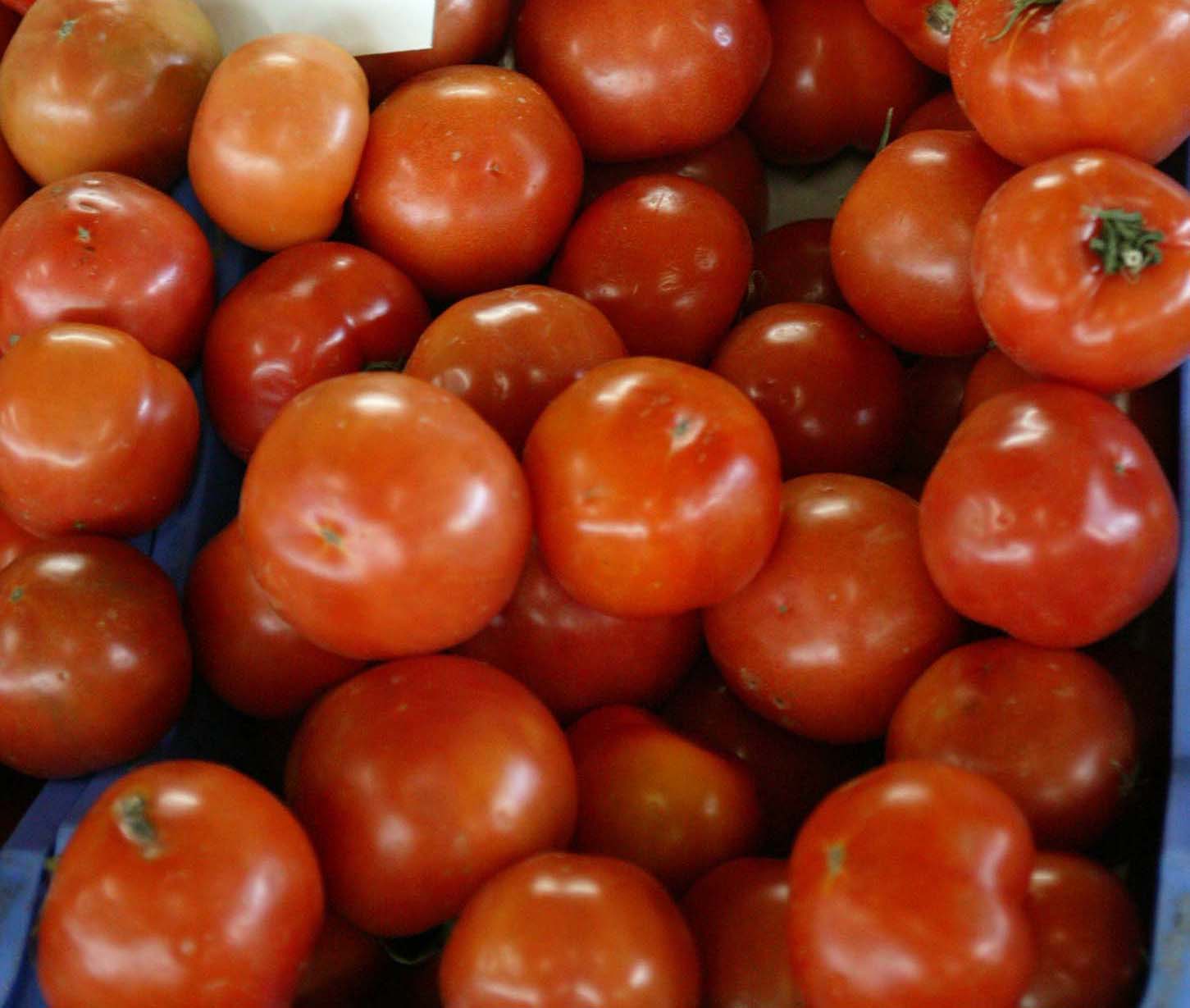 image Egyptian tomatoes passed off as Cypriot