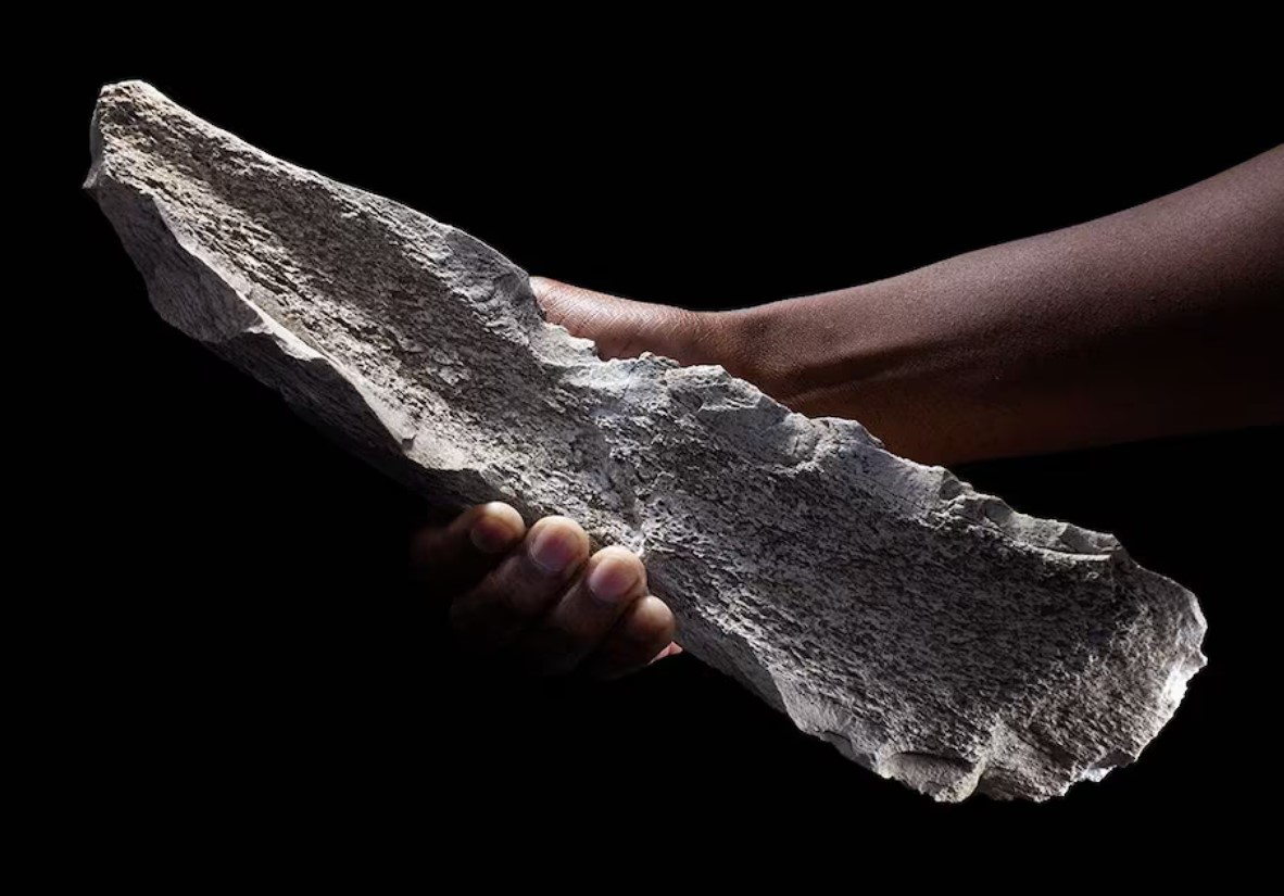 image Tools made from elephant and hippo bones show ingenuity of human ancestors
