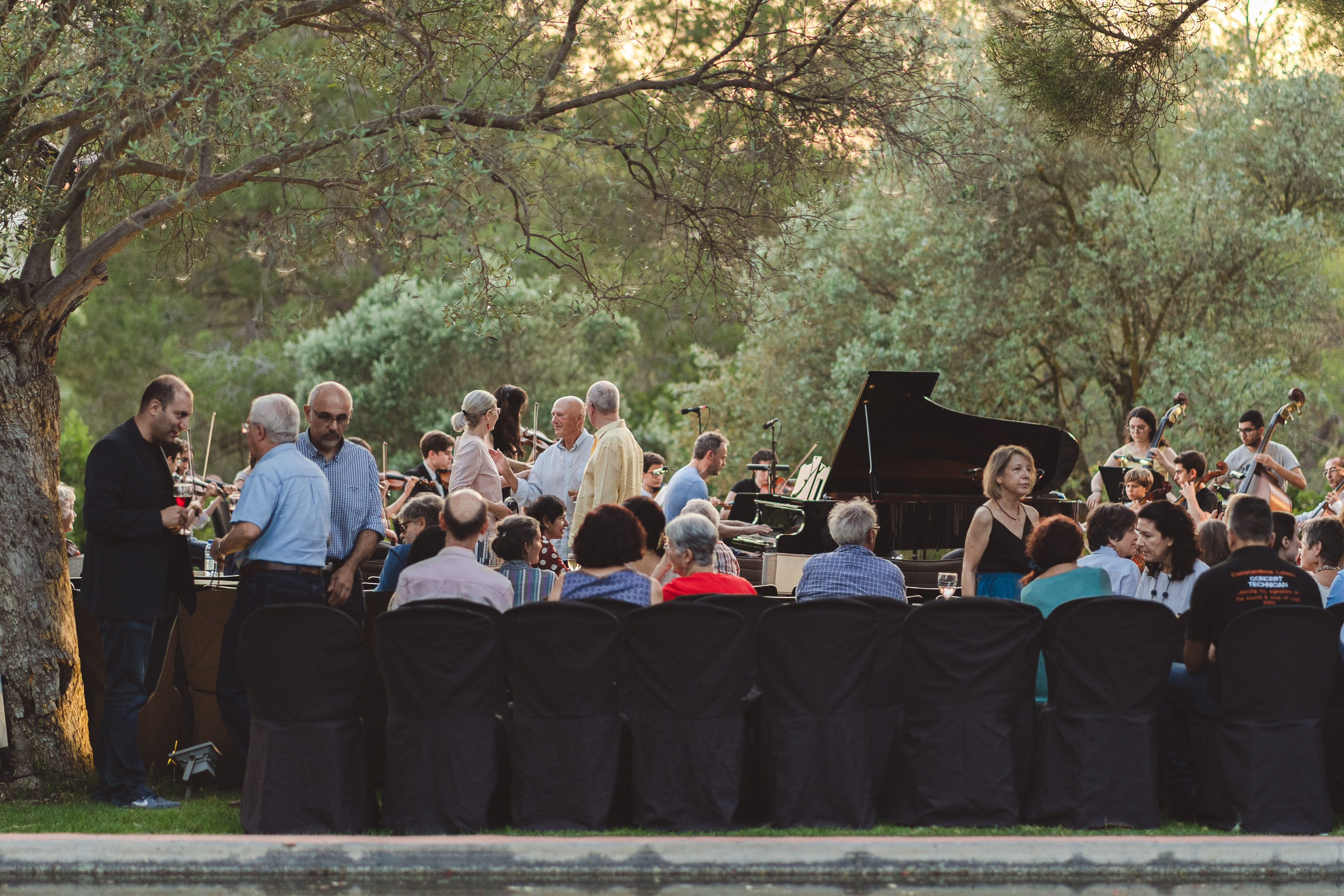image World-class chamber music in picturesque surroundings