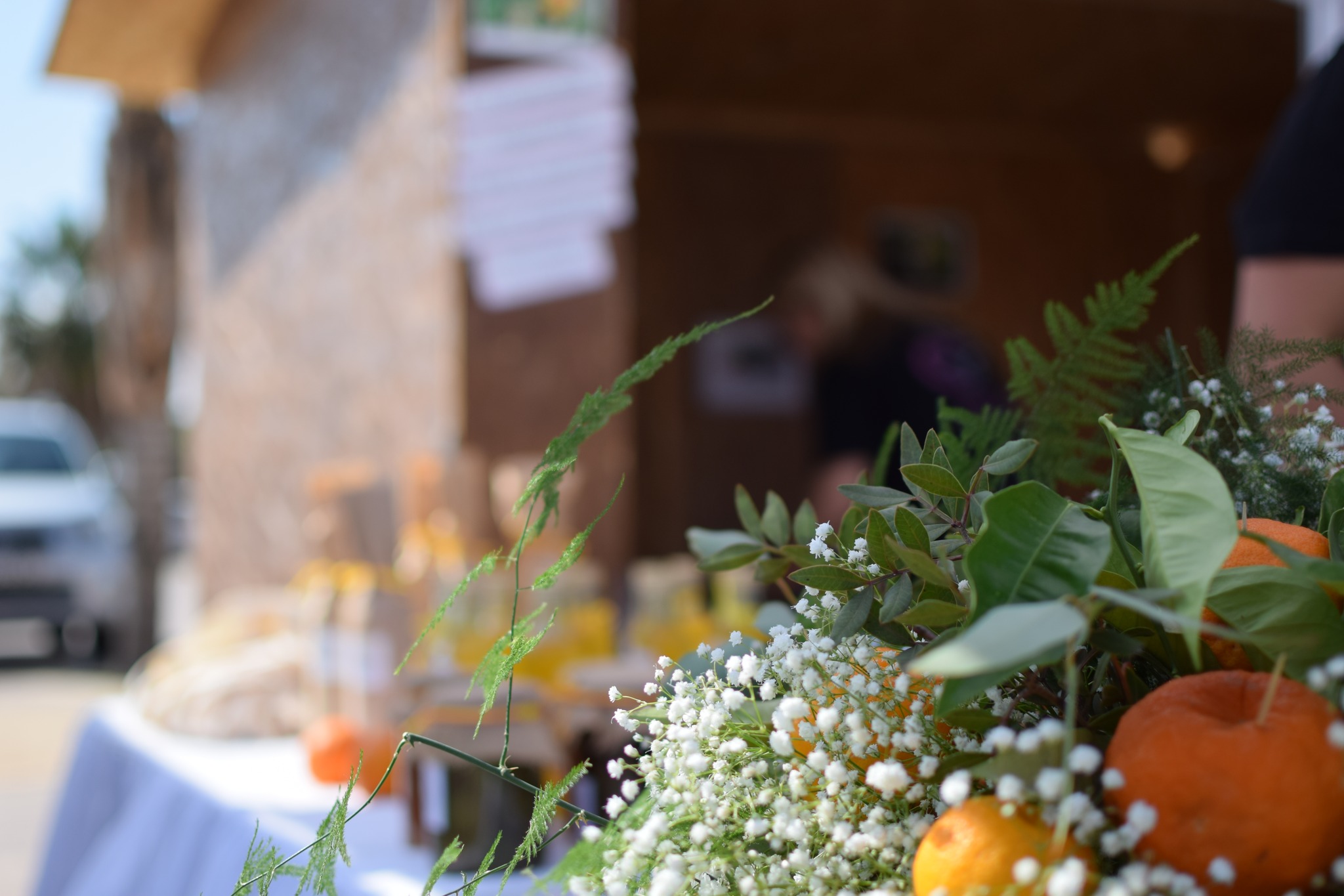image Blossom festival this Sunday