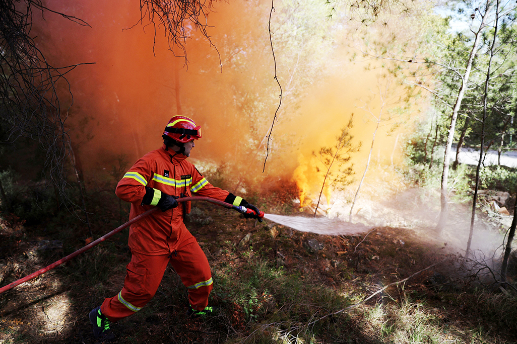 image Cyprus urged to step up role in EU wildfire prevention plans