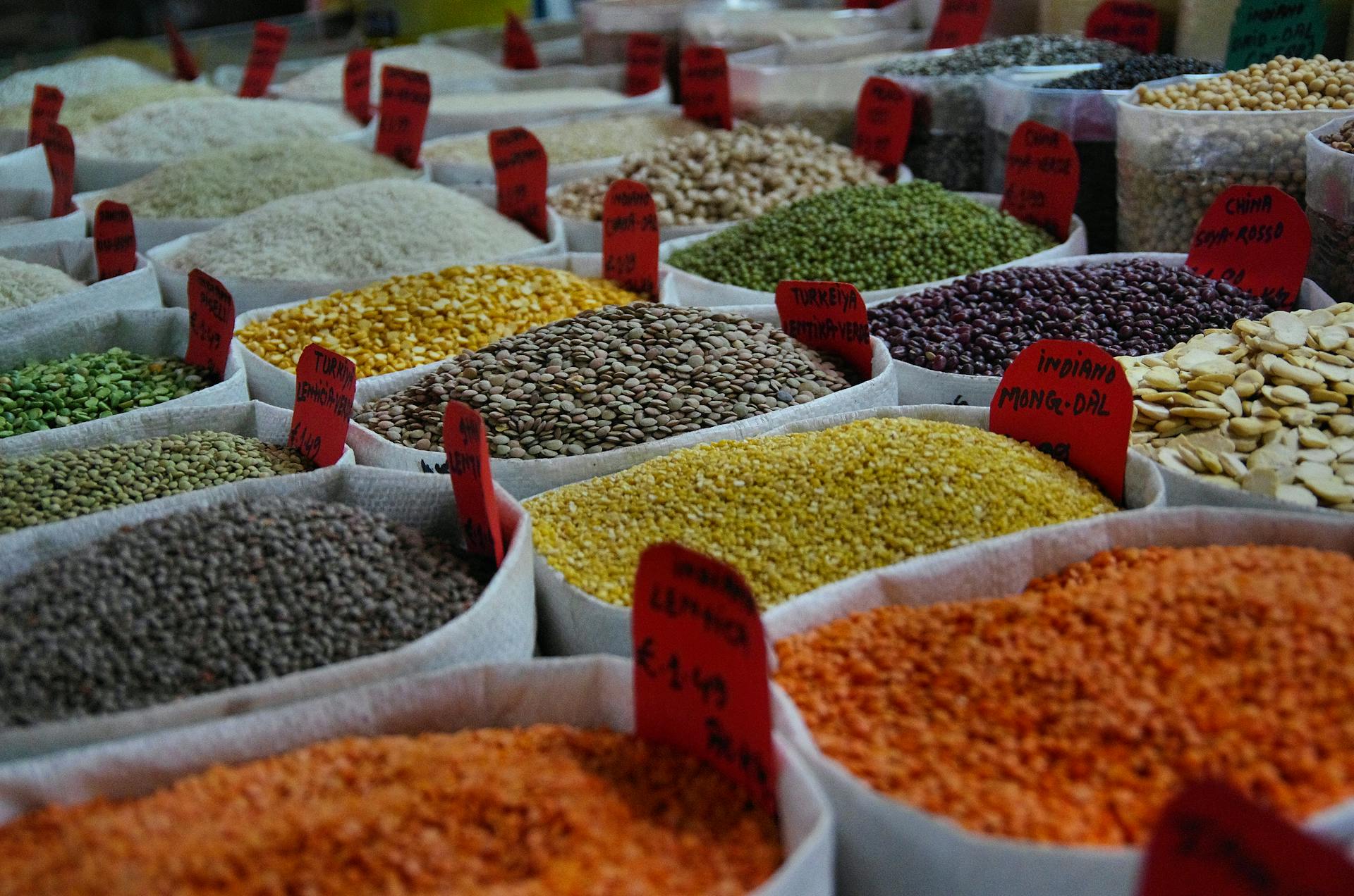image From fava beans to future foods: researchers turn to plant-based proteins for a healthier planet