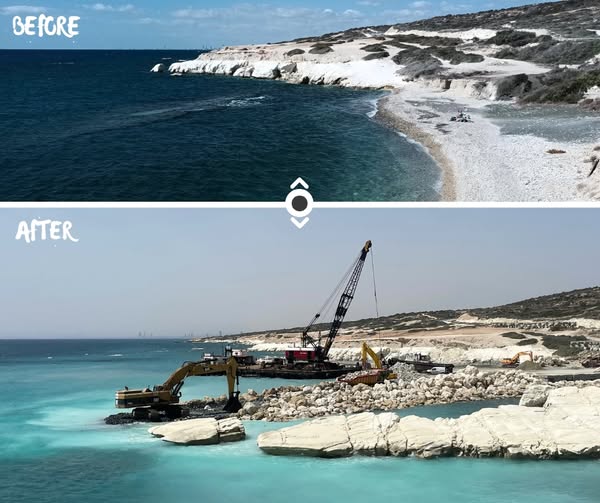 image BirdLife to take government to court over monk seal habitat