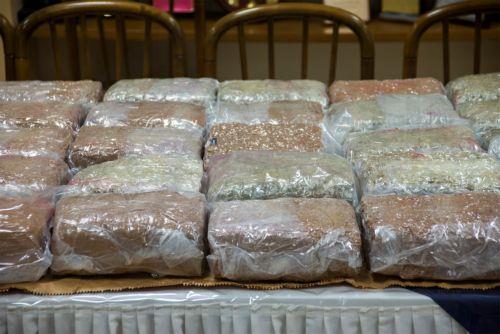image Man remanded for huge cannabis, cocaine haul