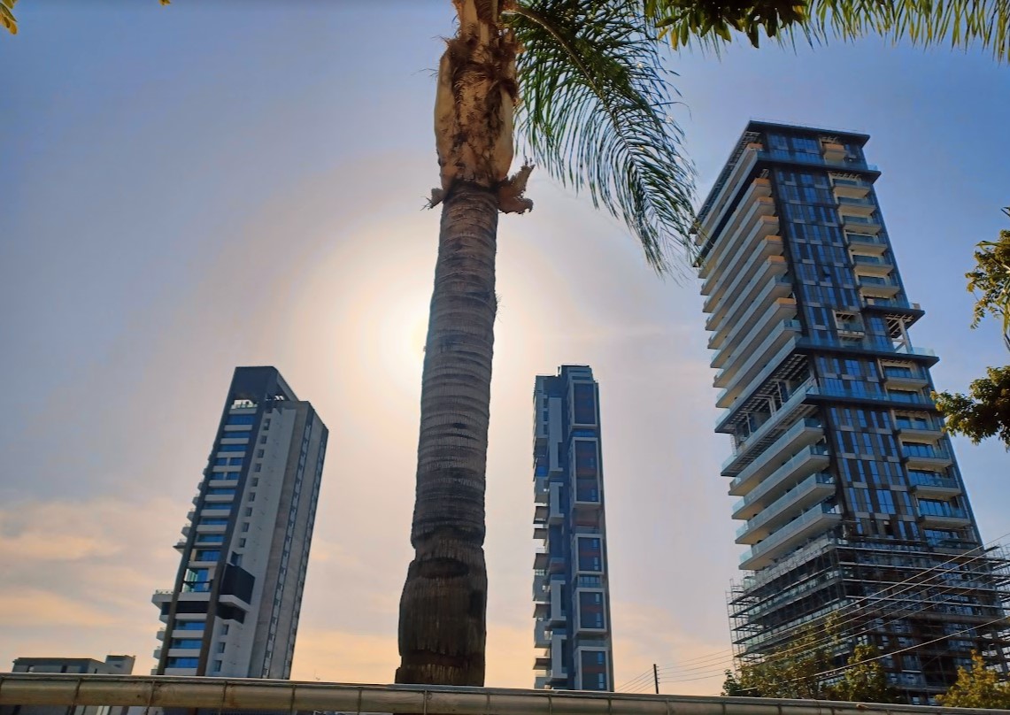 image Cyprus sees strong rebound in luxury property sales