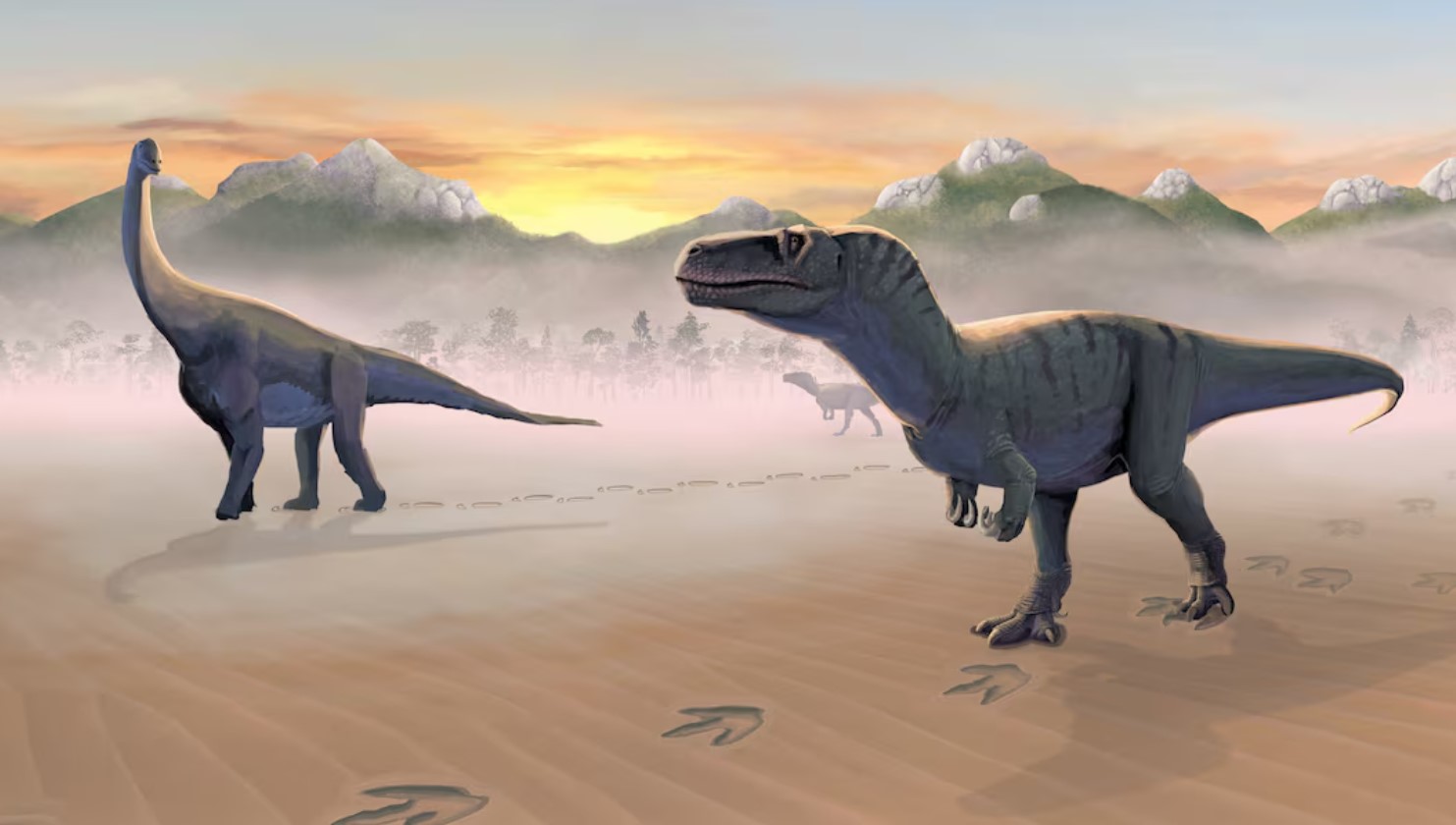 image Isle of Skye footprints give a tranquil snapshot of dinosaur life