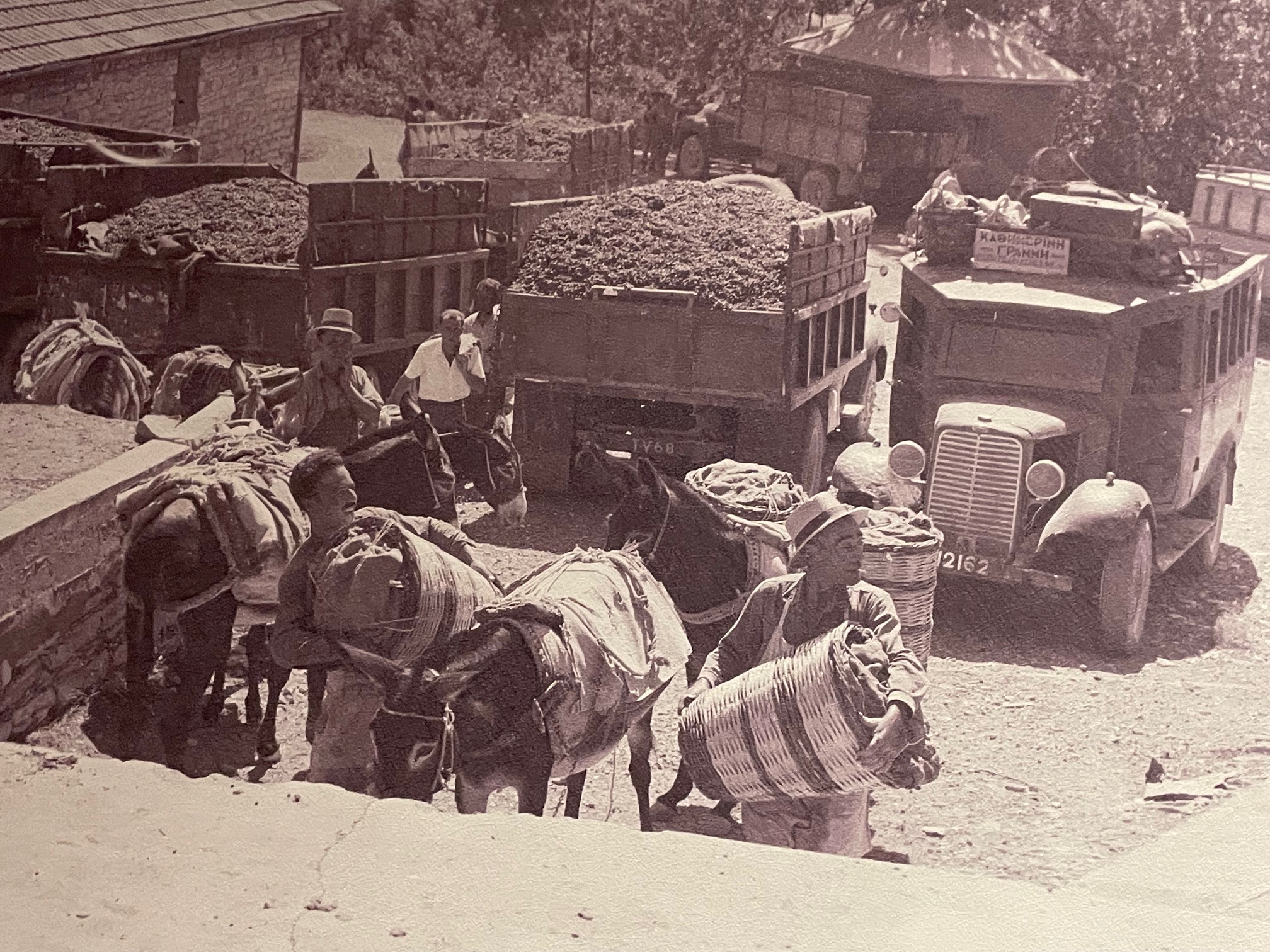 image Uncorking Cyprus’ past