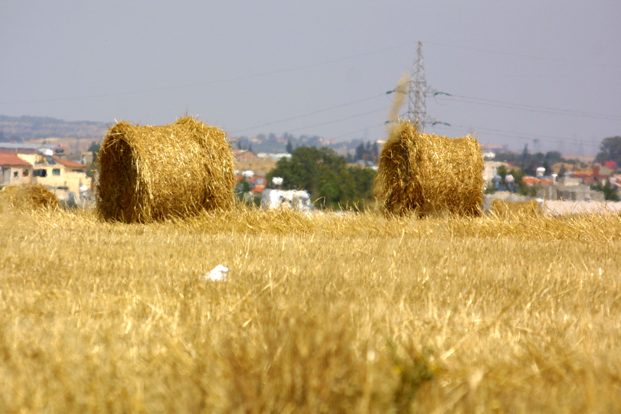 image Farmers’ union warns of ‘tragic’ water shortages