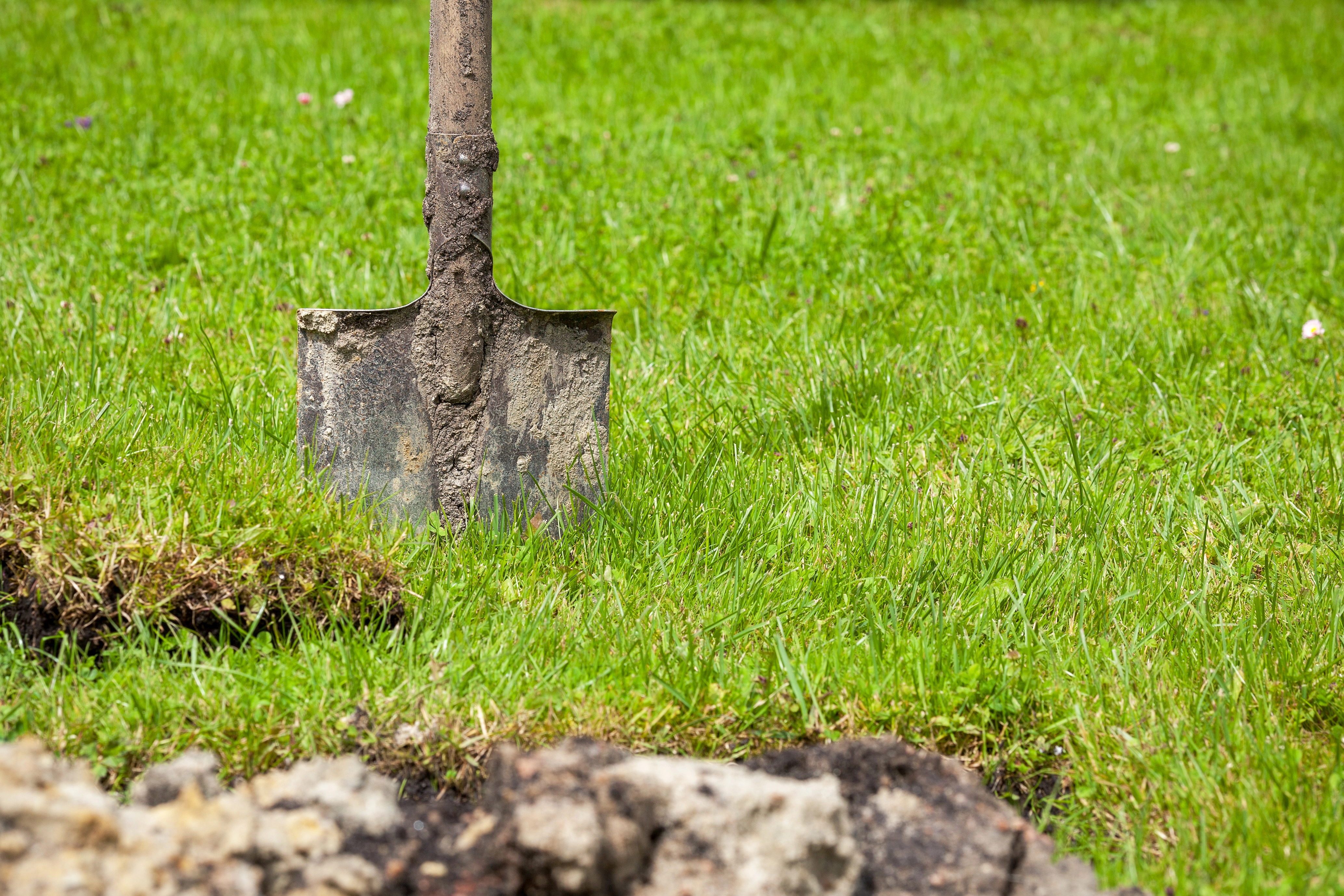 image Man arrested for hitting police officer with spade