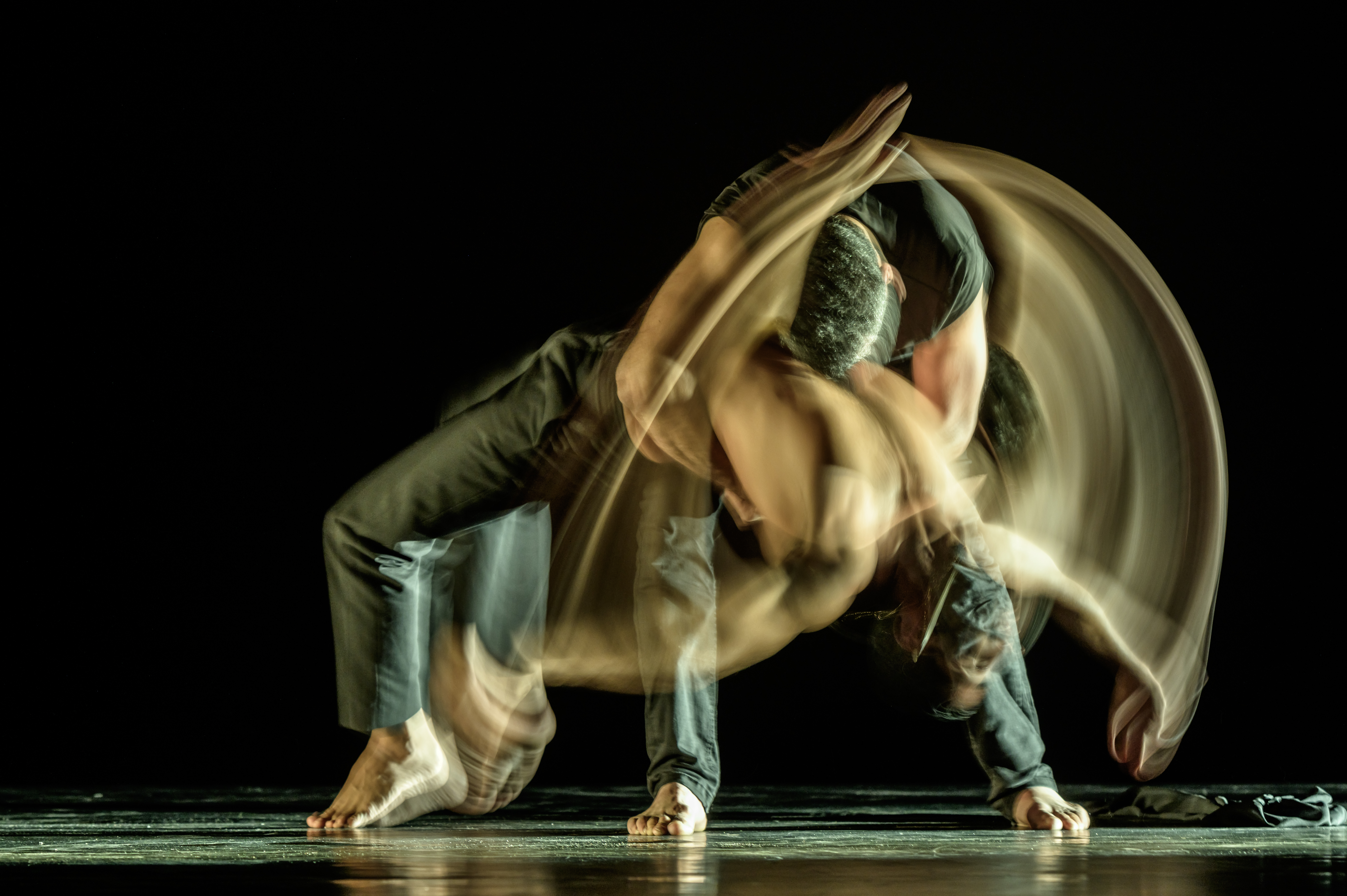 image An array of rich performances from Cyprus Contemporary Dance Festival