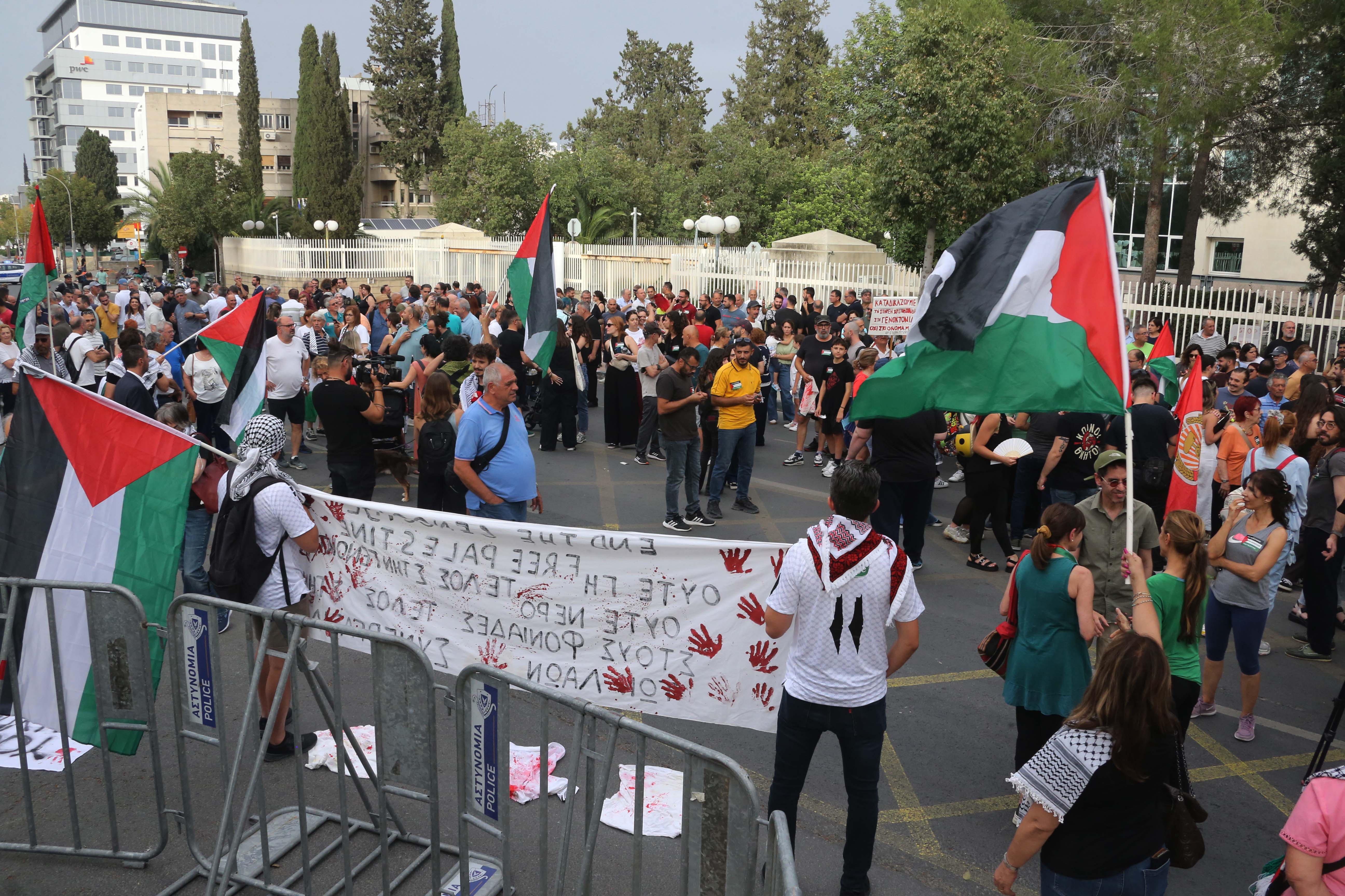 image Protest outside presidential palace backs Palestine