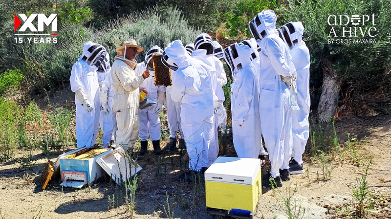 image XM&#8217;s beehive adoption: a commitment to green innovation, social responsibility
