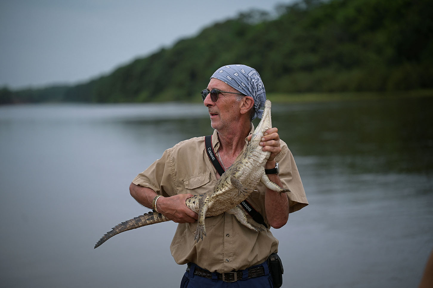 image The last-ditch race to save the Orinoco crocodile