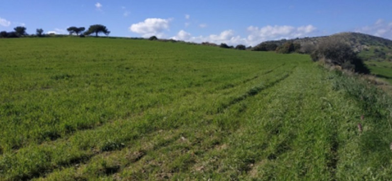 cover THEMIS e-auctions to offer range of plots, including agricultural properties from €1K