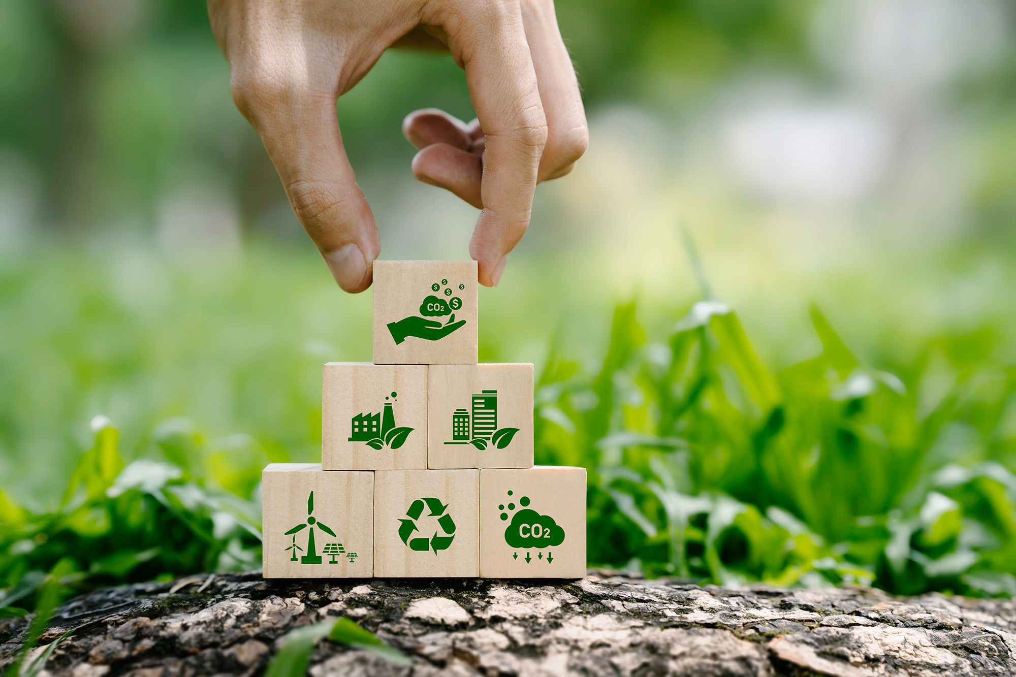 image Hellenic Bank awarded dual environmental certifications for its sustainability efforts