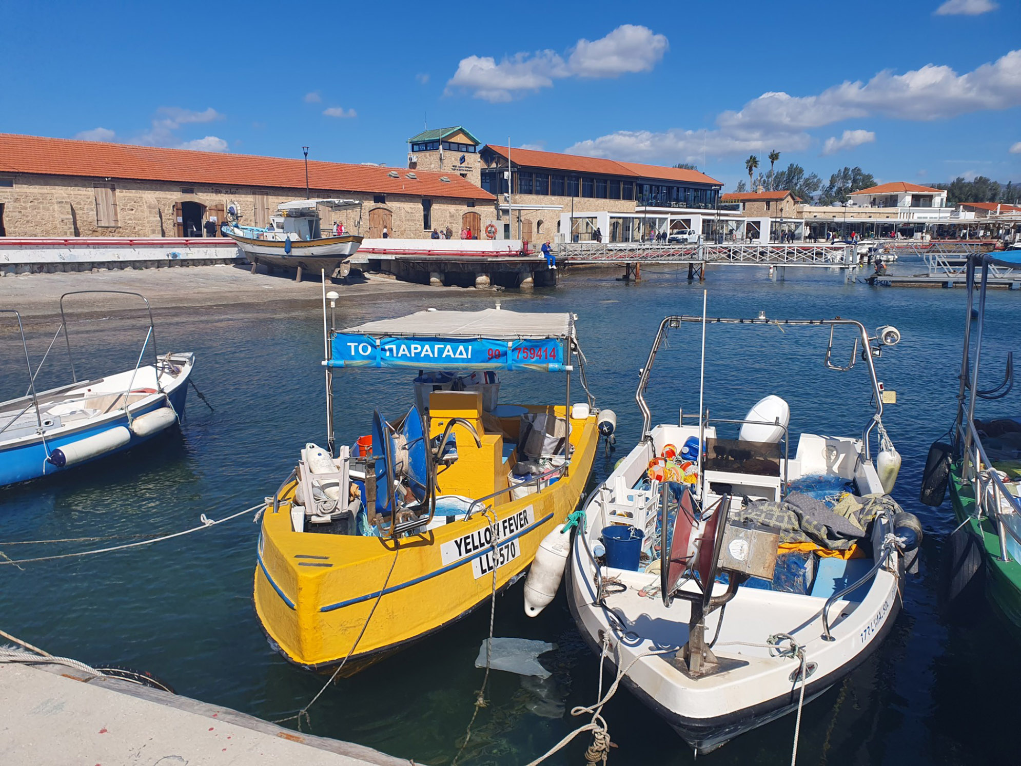 image Pros and cons highlighted in Paphos Airbnbs
