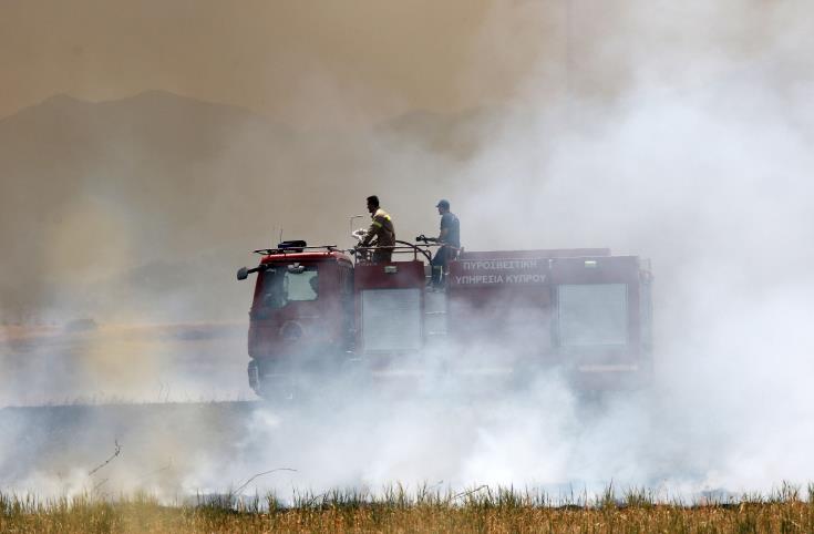 image Fire at Dierona burning wild vegetation, houses protected