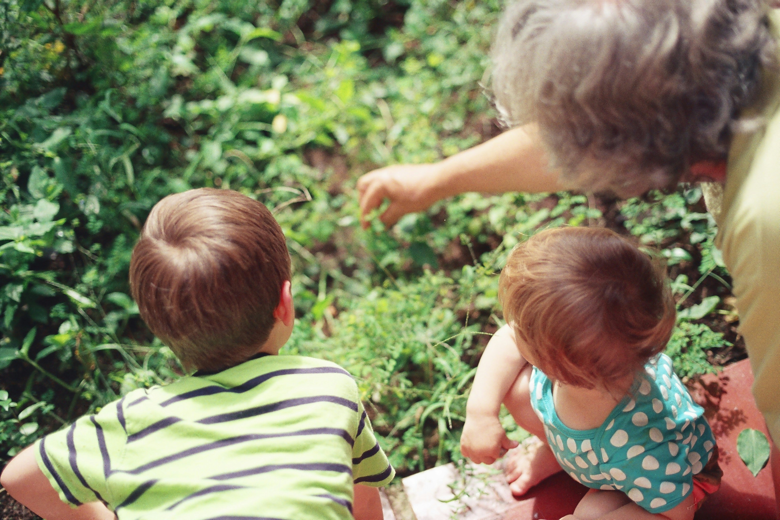 image From CEO to caregiver
