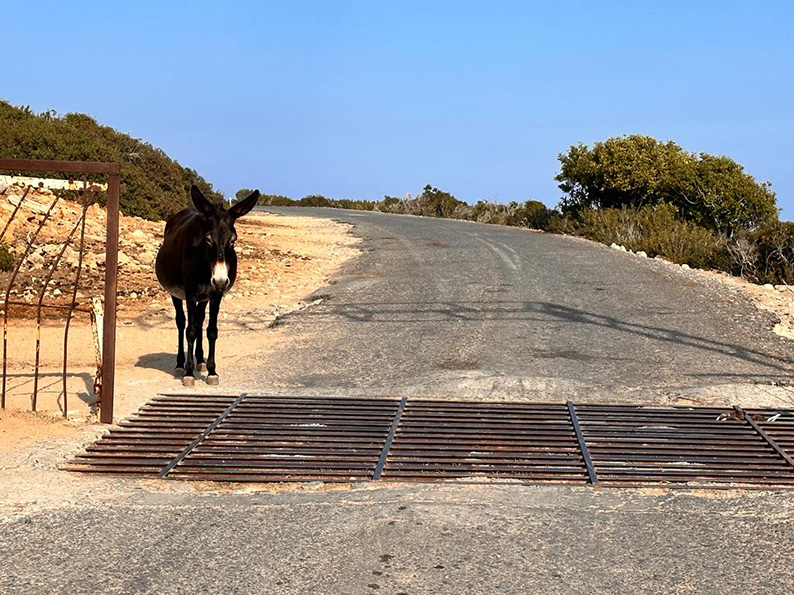 image Apostolos Andreas road to close for works during afternoons