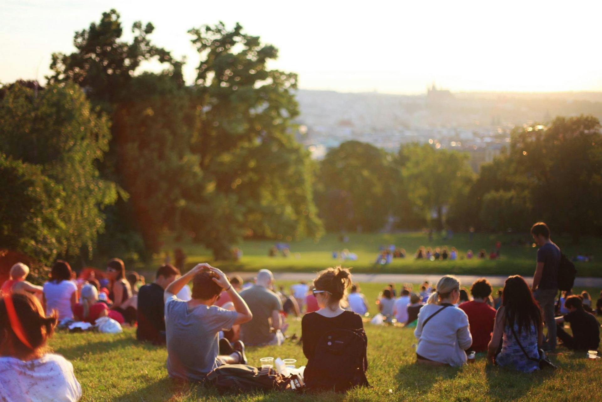 image Reclaiming urban spaces: how cities are welcoming nature back