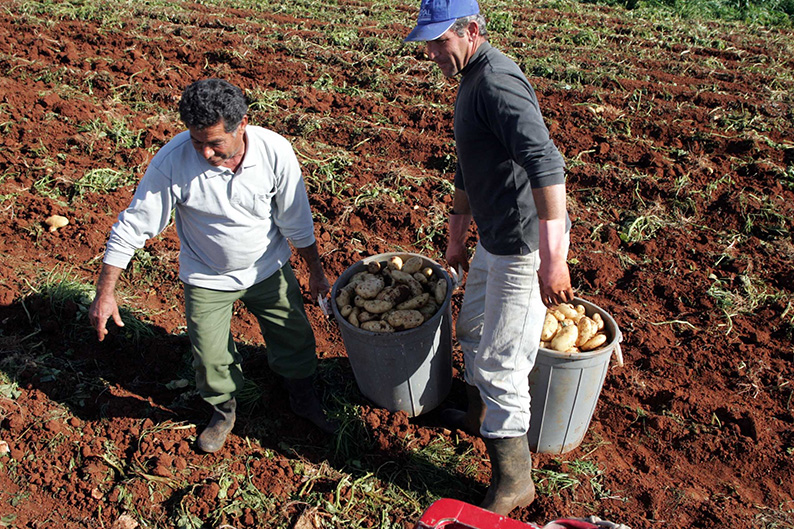 image How the top 10 per cent dominate Cyprus’ economy