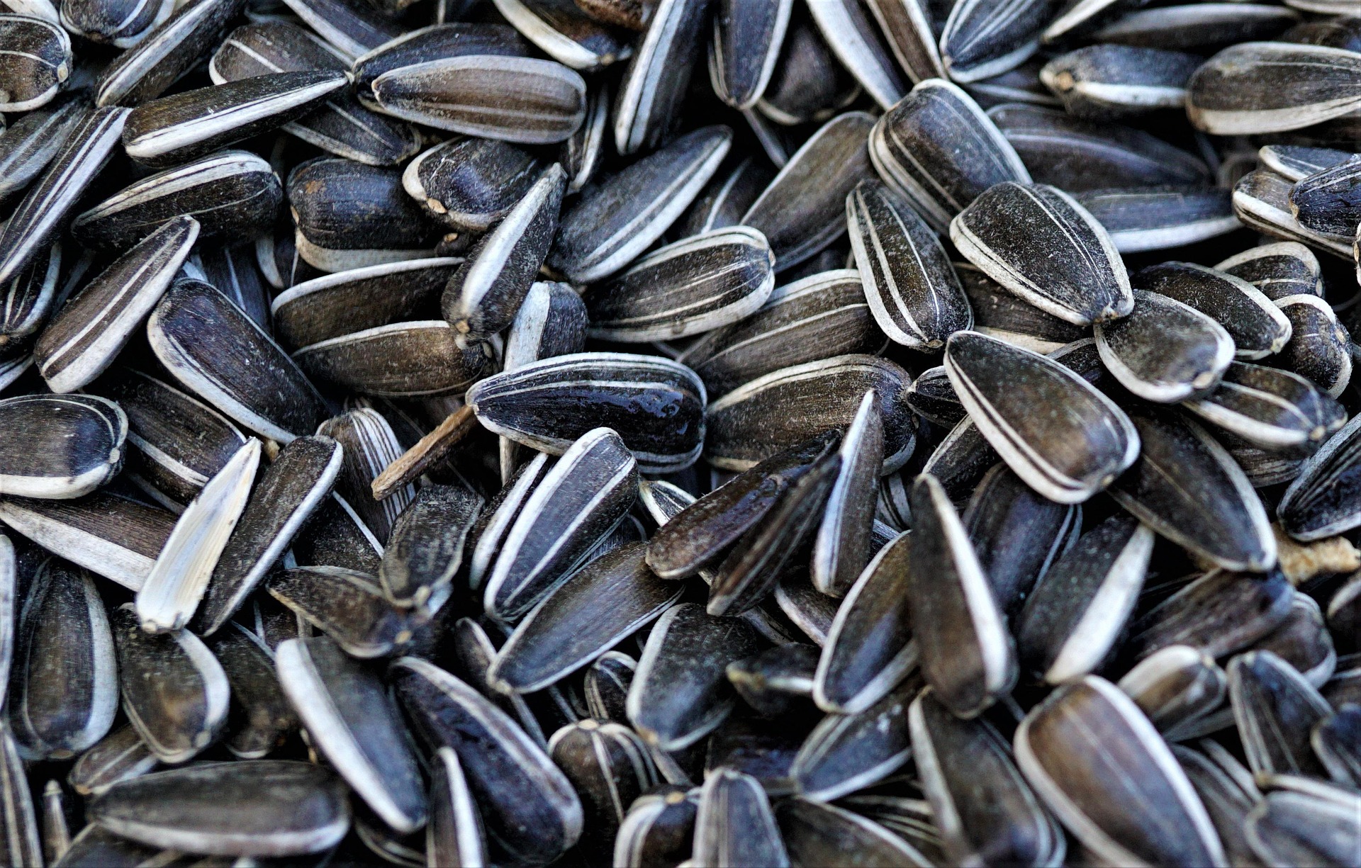 image Shell shock: Elche ban sunflower seed snacks in stadium clean-up act