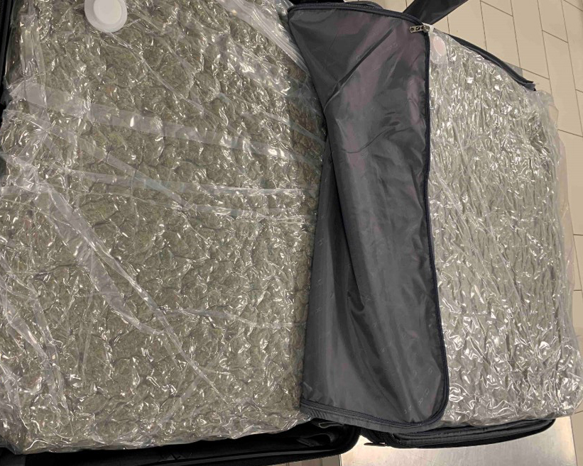 image Woman arrested with more than 17kg of cannabis