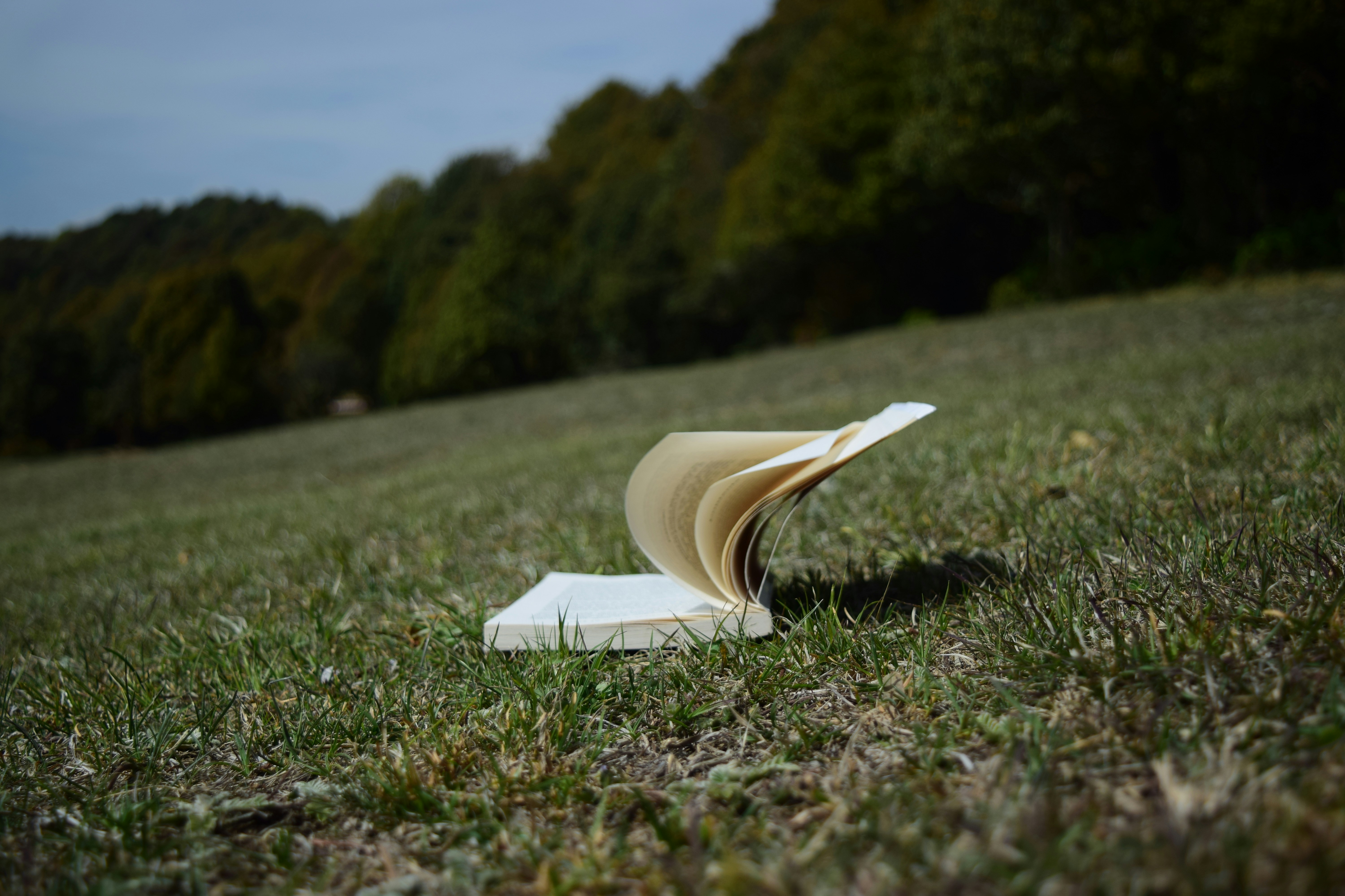 image Rural book fest brings literature to the mountains