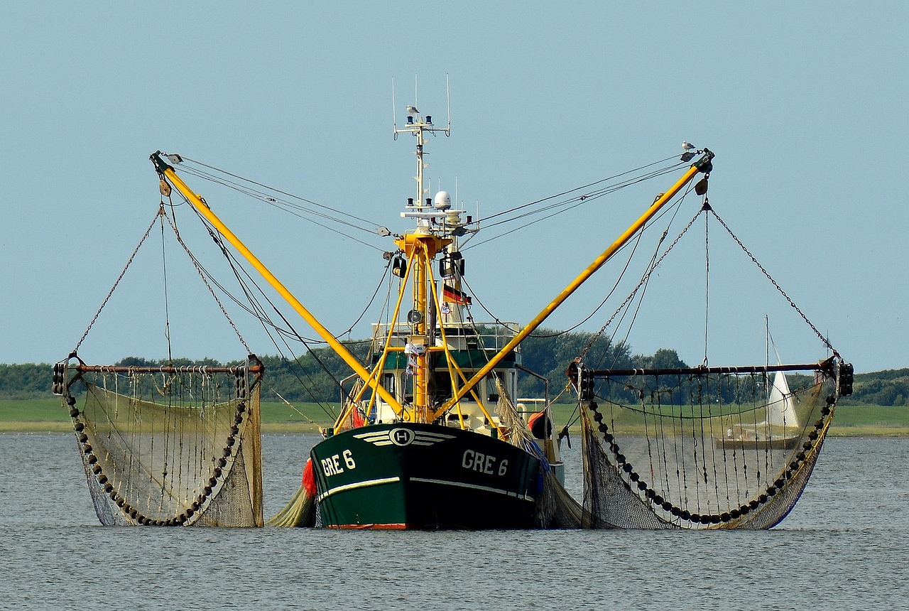 cover Bottom trawling: nightmare vision of mass death and destruction
