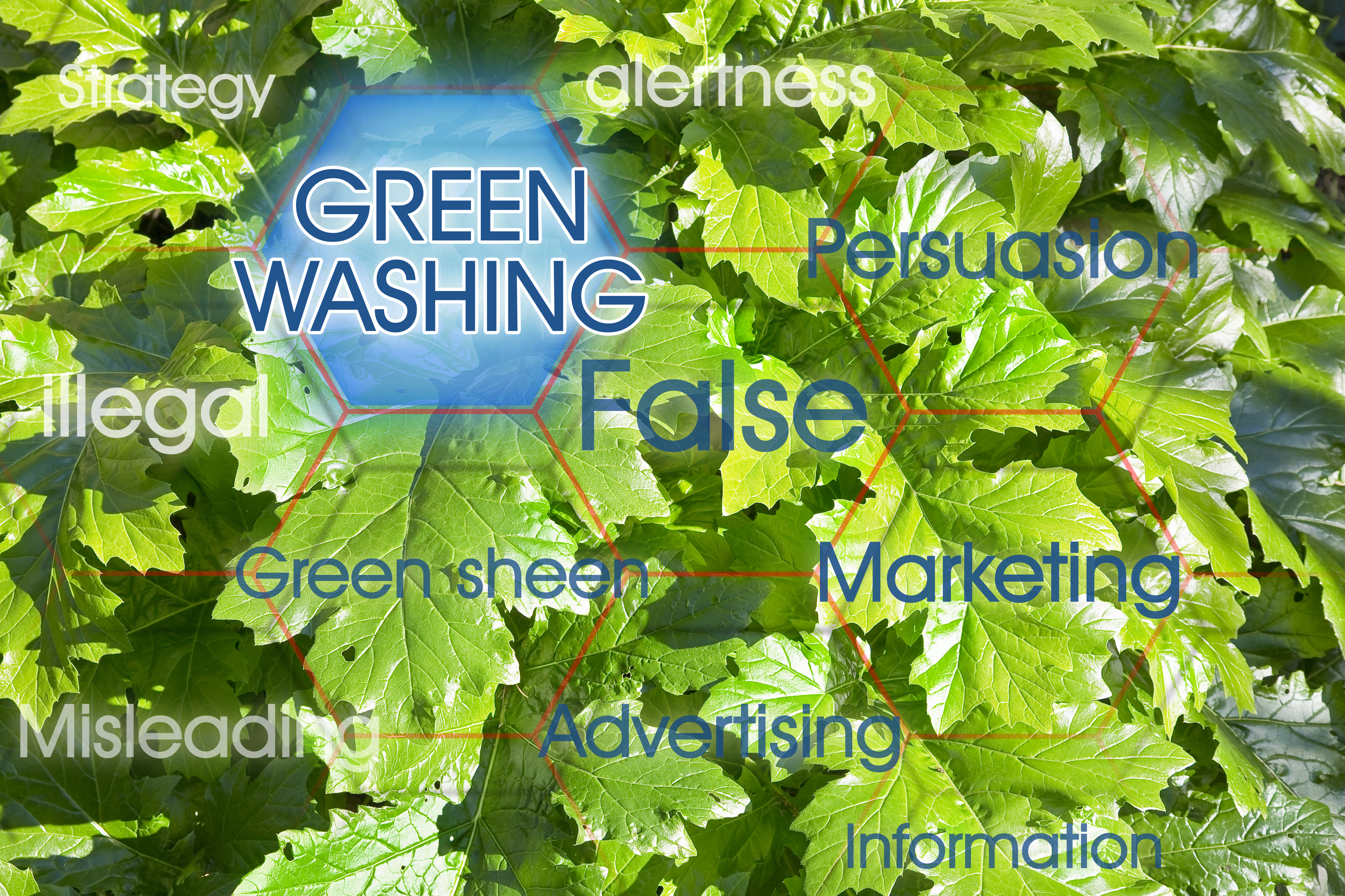 cover The cost of green lies for businesses and consumers