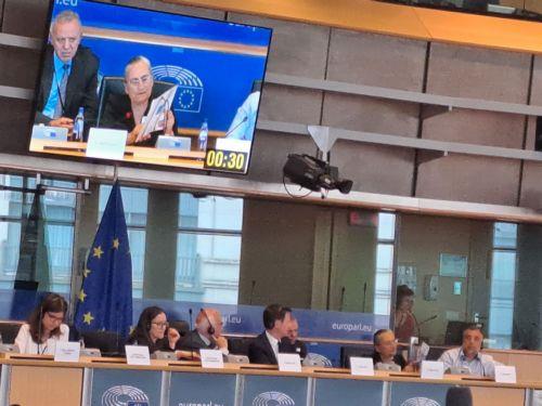 cover Missing persons a European issue, says EP rapporteur