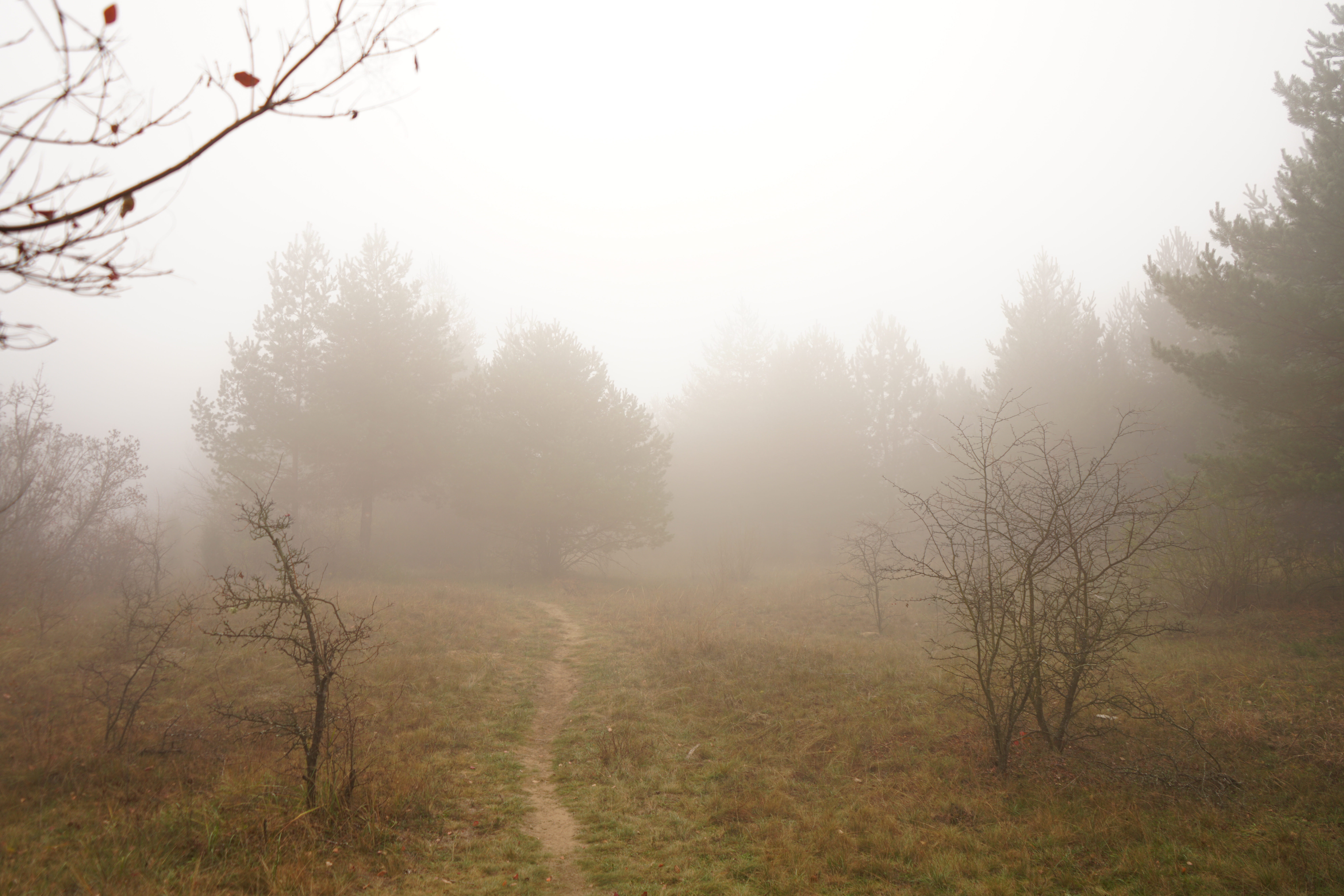 image Tuesday cloudy, temperatures reaching 38C