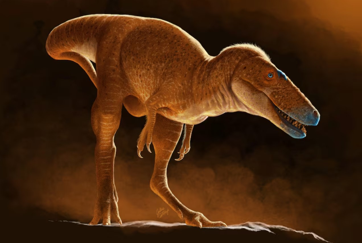 image Mongolia&#8217;s &#8216;Dragon Prince&#8217; dinosaur was forerunner of T. rex