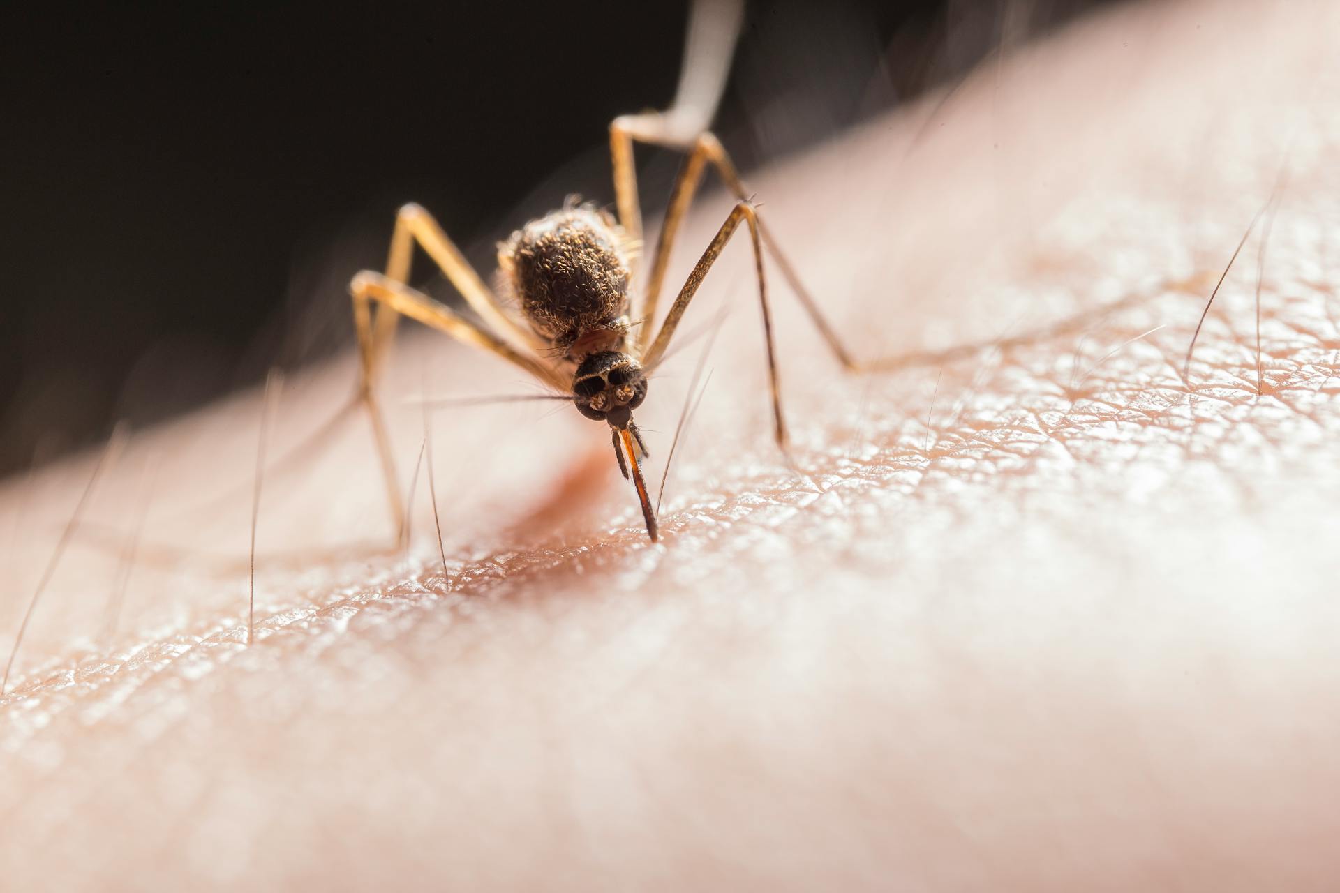 cover Smarter science: staying one step ahead of the next pandemic