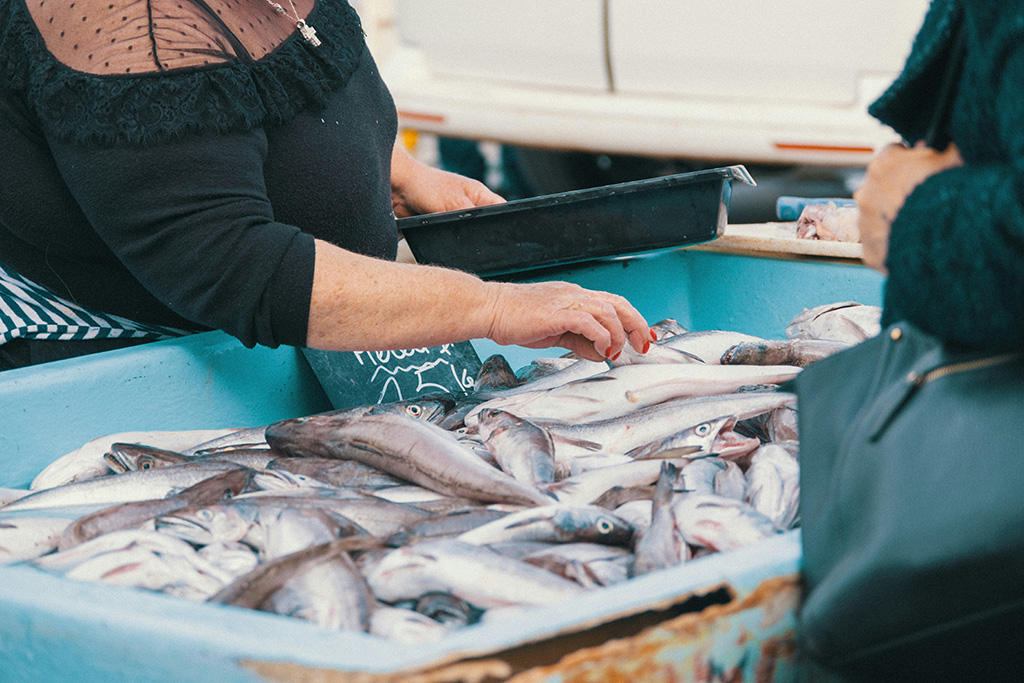 cover Kato Pyrgos hosts first fish festival ea